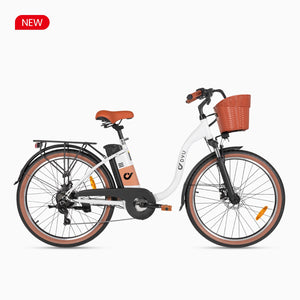 DYU-C6Pro