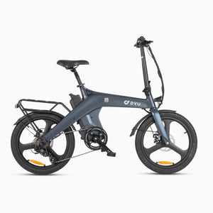 DYU-T1