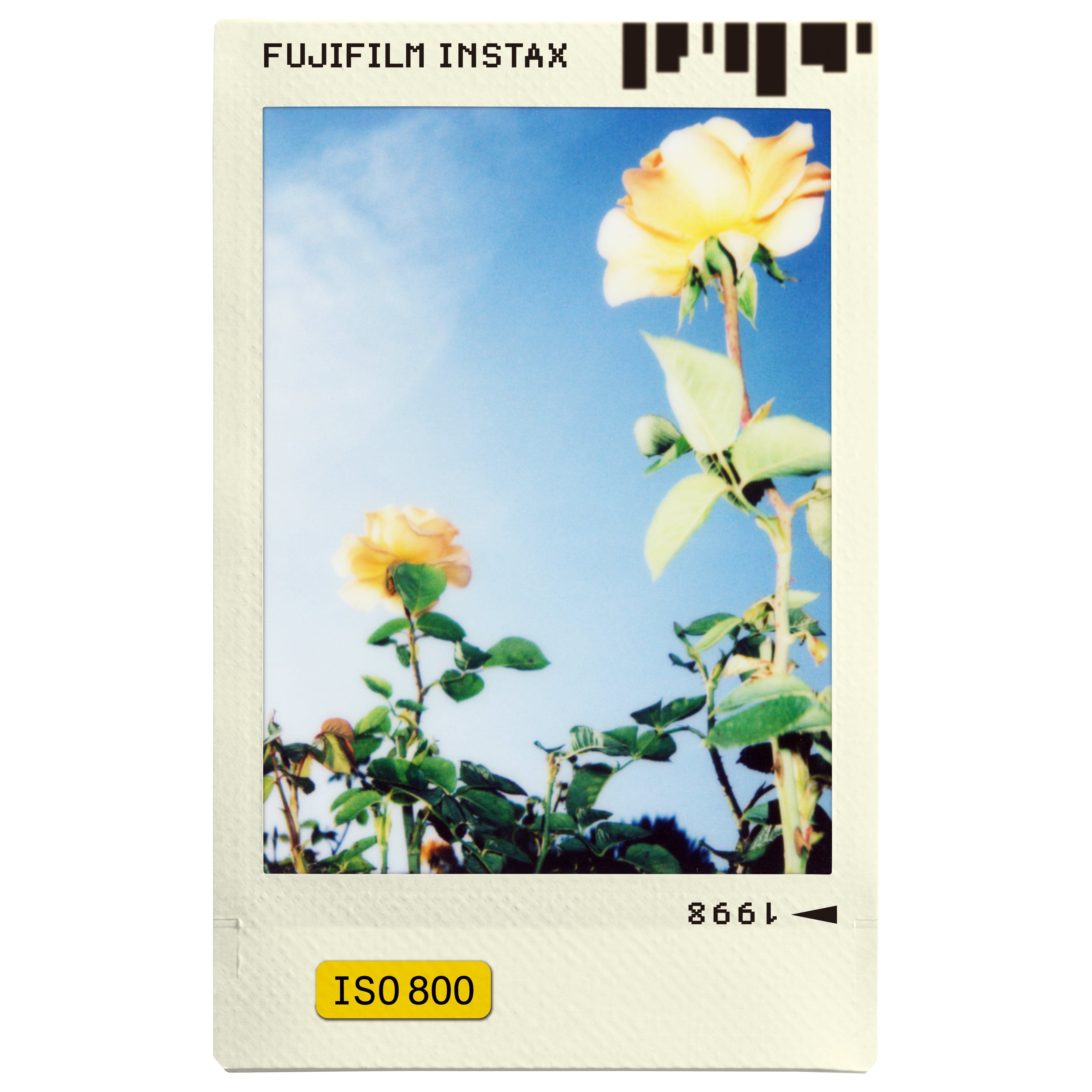 Fujifilm Instax Mini Instant Photo Film - Photo Slide - Dhanditech