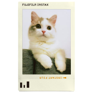 Fujifilm Instax Mini Instant Photo Film - Photo Slide - Dhanditech