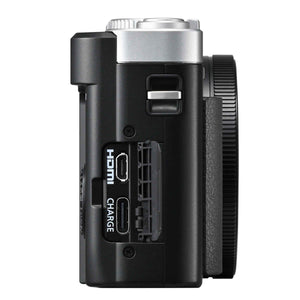 Panasonic DC-TZ99 Compact Camera - Silver