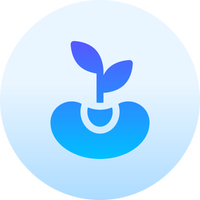 Foundation & Strategy